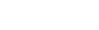 PayFastChat Logo